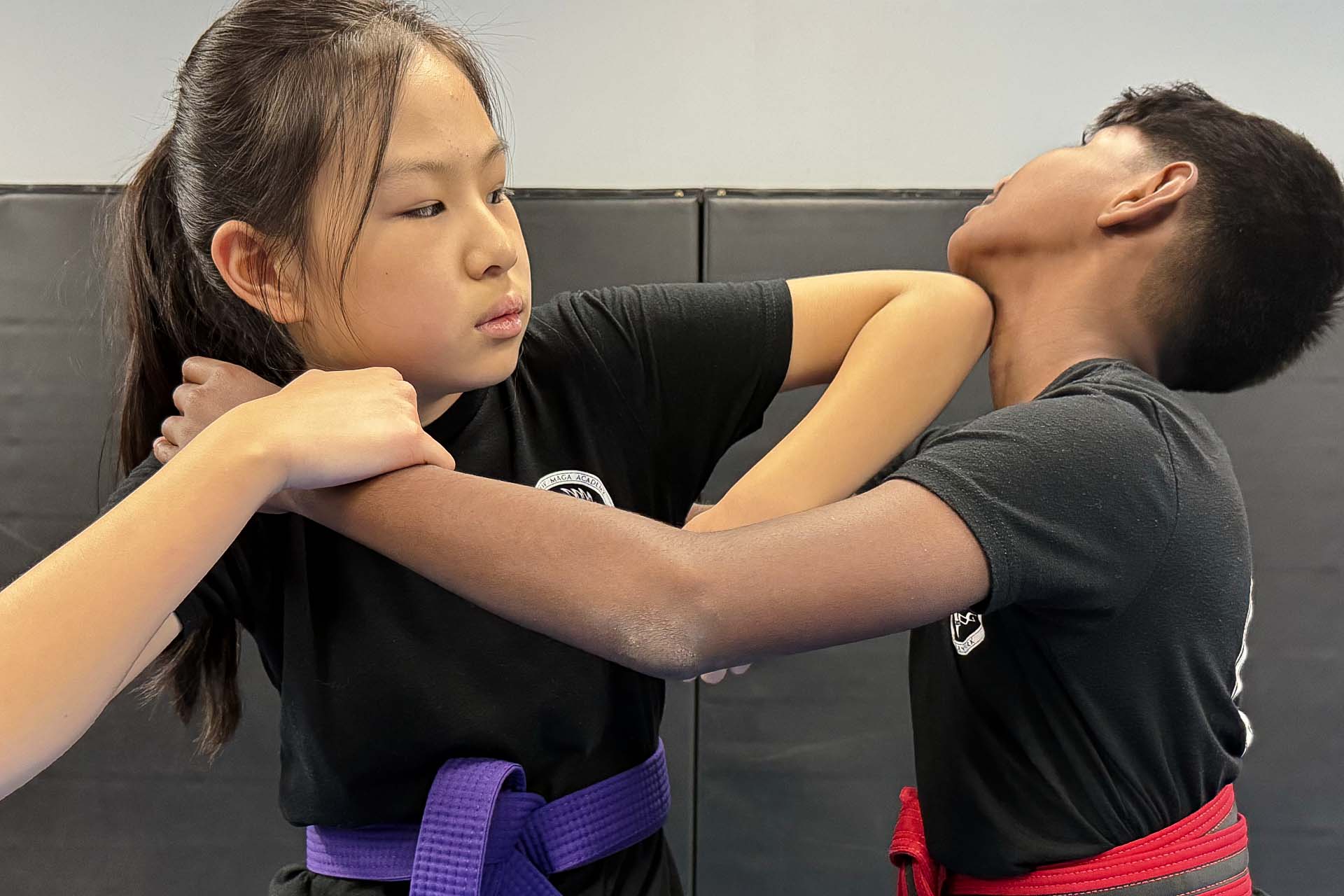 Catalyst Krav Maga | Training For Everyone